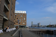 DSC_0852